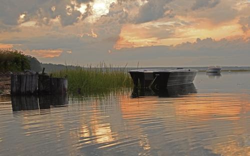 Scarb Marsh